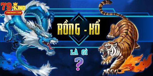 Rồng Hổ 79King2